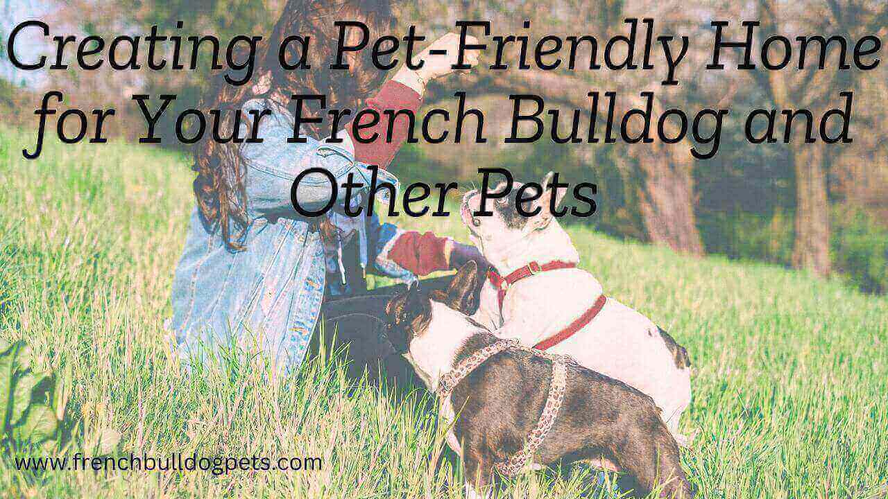 Creating a Pet-Friendly Home for Your French Bulldog and Other Pets